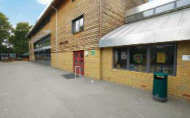 staidens2